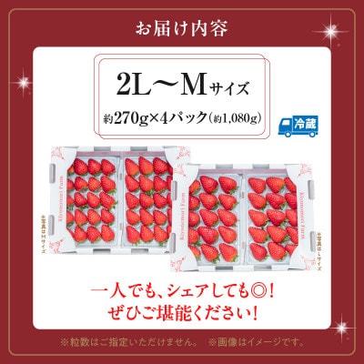【2026年4月～5月順次発送】高級いちご「古都華」4パック(小さいサイズ)