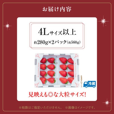 【2026年1月順次発送】高級いちご「古都華」4Lサイズ以上2パック　奈良県生駒市産