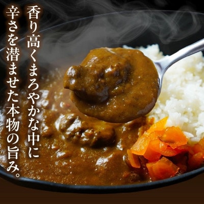 マハール　辛口カレーセット　200g×5
