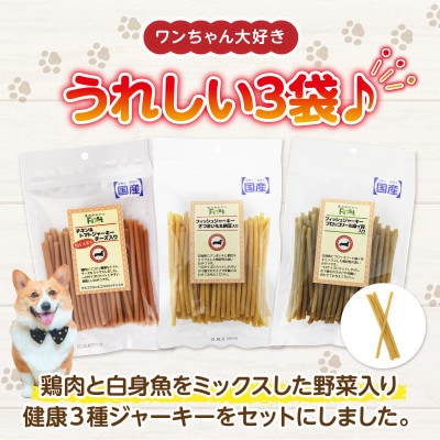 First フィッシュジャーキー　健康3点セット