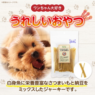 First フィッシュジャーキーさつまいも&納豆入りお試し用　1袋