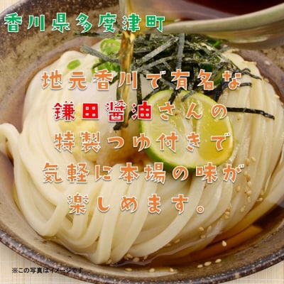 純生讃岐うどん(10人前、つゆ付)【A-19】