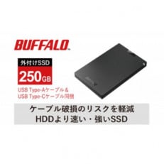 BUFFALO/バッファロー ポータブルSSD TypeA&amp;C 250GB