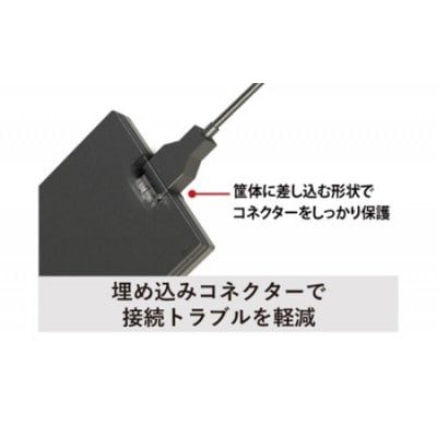 BUFFALO/バッファロー ポータブルSSD TypeA&C 250GB
