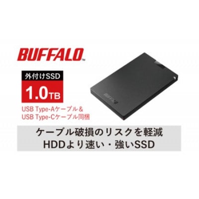 BUFFALO/バッファロー ポータブルSSD TypeA&C 1.0TB