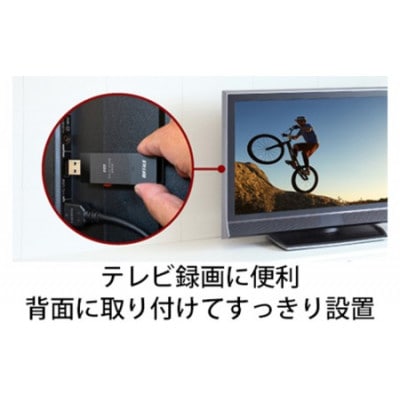 BUFFALO/バッファロー スティック型SSD 抗ウイルス・抗菌 250GB
