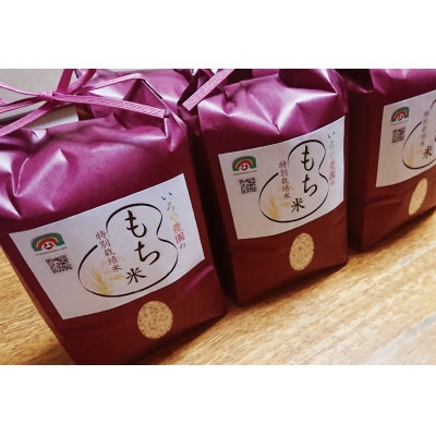 特別栽培米　日進市産もち米　1.4kg×3袋