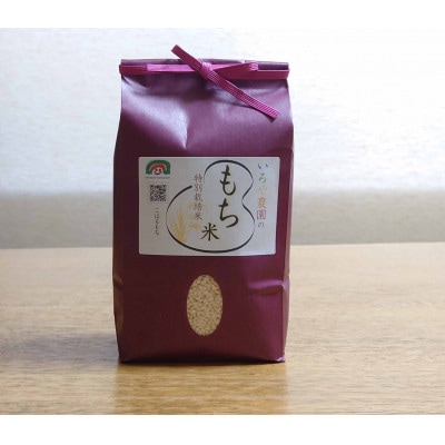 特別栽培米 日進市産もち米 1.4kg | 愛知県日進市 | ふるさと 特別栽培米 日進市産もち米 1.4kg | 愛知県日進市 | ふるさと