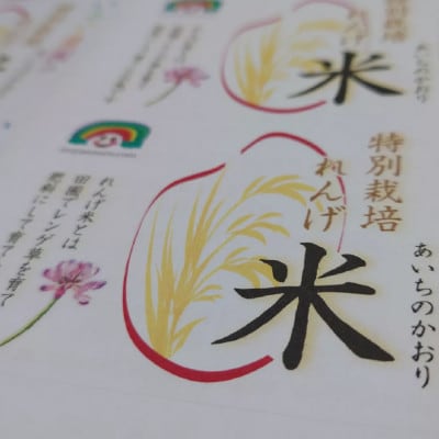 特別栽培れんげ米　日進市産　あいちのかおり　5kg　[精米]