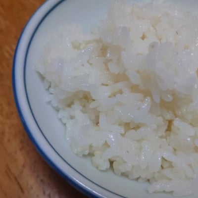 特別栽培れんげ米　日進市産　あいちのかおり　3kg　[精米]