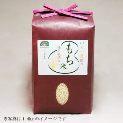 特別栽培れんげ米　日進市産もち米　3kg　[精米]