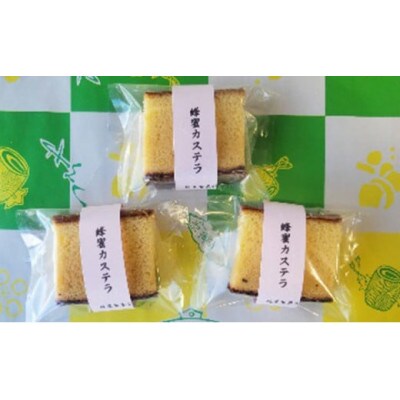 【槌屋製菓舗】カステラ詰合せ