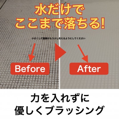 極線君　アジサイ