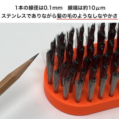 極線君　アジサイ