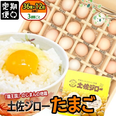 【定期便】土佐ジローたまご(1箱36個入)×12回　約3週間毎に1回