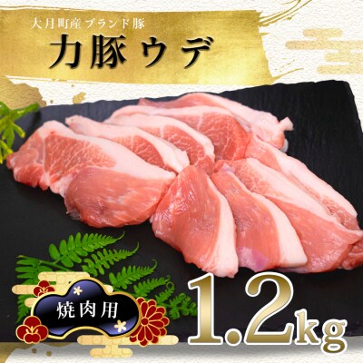 【高知県 大月町産ブランド豚】力豚ウデ焼き肉用1.2kg
