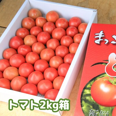 まっことうまい!水田さんのフルーツトマト【約2kg×2箱 / 化粧箱入】