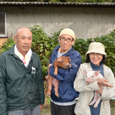 【高知県 大月町産ブランド豚】力豚ロース　しゃぶしゃぶ800g