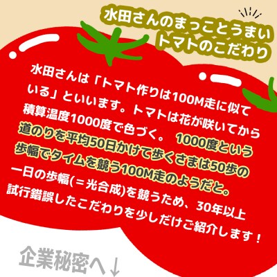 まっことうまい!水田さんのフルーツトマト【約2kg×2箱 / 簡易箱入】
