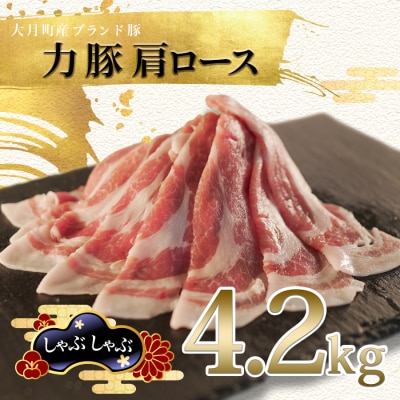 【高知県 大月町産ブランド豚】力豚肩ロース　しゃぶしゃぶ4.2kg