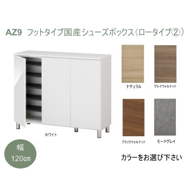 フットタイプ国産シューズボックス(ロータイプ・2)※開梱設置　AZ9　