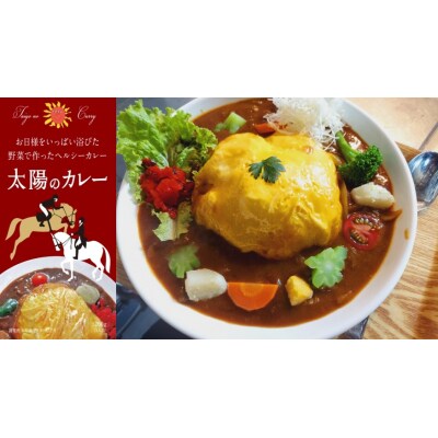 太陽のカレー　200g(1人前)×5個