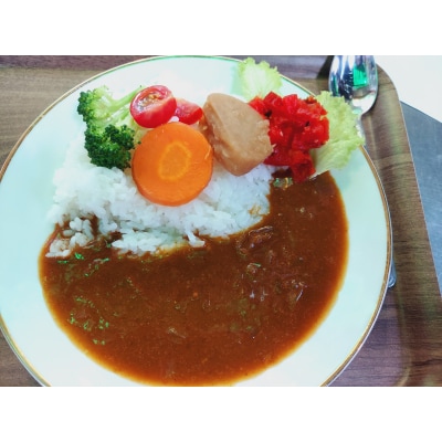 太陽のカレー　200g(1人前)×5個