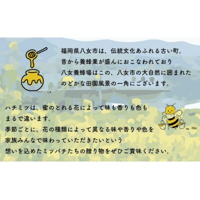 八女養蜂場のほんのり甘酸っぱいザクロ濃縮果汁入蜂蜜　500g　ペットタイプ
