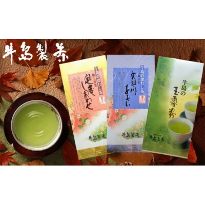 八女深蒸し茶詰合せ 100g×3本　上級煎茶(ギフト対応)(八女市)