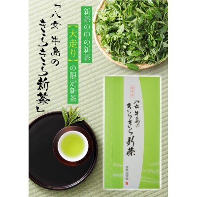 【先行受付】【ギフト用】新茶をお届け!大走り新茶　深蒸し茶セット【2023年4月下旬発送開始】