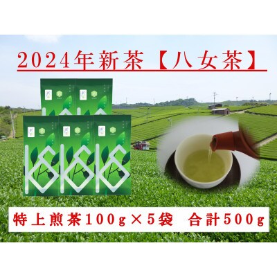 八女茶 新茶特上煎茶　100g×5袋
