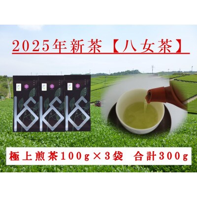 八女茶　新茶極上煎茶100g×3袋