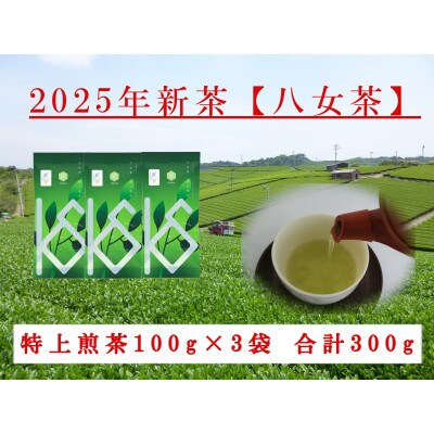 八女茶　新茶特上煎茶100g×3袋