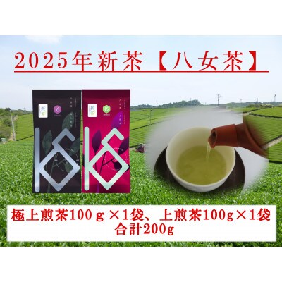 八女茶　新茶極上煎茶と上煎茶　100g×2袋