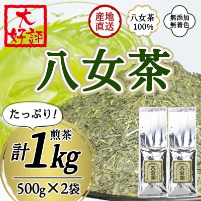 八女茶100% 家庭用業務用煎茶 1kg!(500g×2袋)