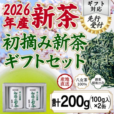【先行受付】「2026年産 初摘み新茶」100g缶詰 2缶化粧箱入 ギフト対応