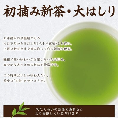 【先行受付】「2025年産 初摘み新茶」100g缶詰 2缶化粧箱入 ギフト対応