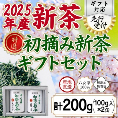 【先行受付】「2025年産 特選初摘み新茶」100g缶詰 2缶化粧箱入 ギフト対応