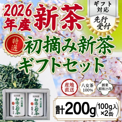 【先行受付】「2026年産 特選初摘み新茶」100g缶詰 2缶化粧箱入 ギフト対応