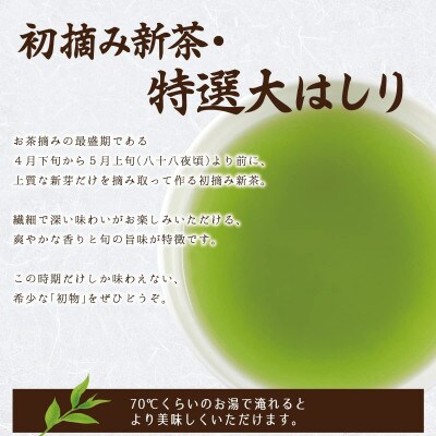 【先行受付】「2025年産 特選初摘み新茶」100g缶詰 2缶化粧箱入 ギフト対応