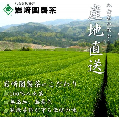 プチギフト・お配り用にも 八女茶100% 個包装ティーバッグ 2.5g×100個