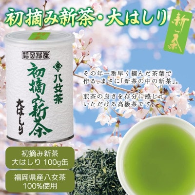 【先行受付 ギフト対応】2025年産 八女茶100%新茶 2種ギフト 100g缶詰 2缶入