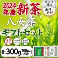 【先行受付 ギフト対応】2024年産 八女茶100%新茶 3種ギフト 100g缶詰 3缶入