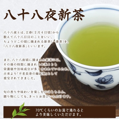 【2025年産 先行受付】八女茶100% 特選八十八夜新茶 100g缶詰×2 ギフト包装