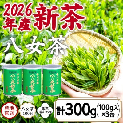 2026年産 八女茶 八十八夜新茶 産地の香りを閉じ込めたお茶の缶詰 100g×3缶