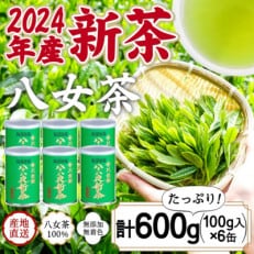 2024年産 八女茶 八十八夜新茶 産地の香りを閉じ込めたお茶の缶詰 100g&times;6缶