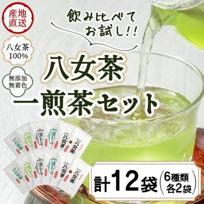 八女茶100% 飲み比べも楽しいお試しセット12袋! 急須1回分7gが12袋