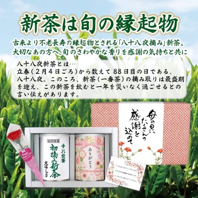 【先行受付 新茶 母の日】2025年産 初摘み新茶とありがとう缶入り八十八夜茶新茶、特別包装ギフト
