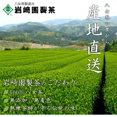 2025年産 八女茶 八十八夜新茶 産地の香りを閉じ込めたお茶の缶詰 100g×3缶