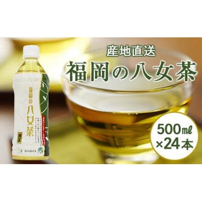 【産地直送】福岡の八女茶 煎茶ペットボトル(500ml×24本)